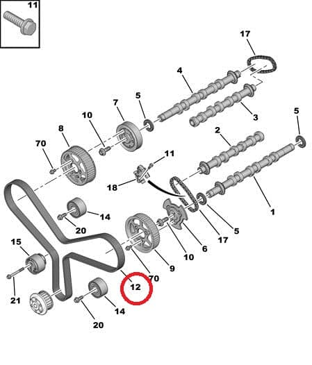 Hammasrihm OEM Peugeot/Citroen  2,7HDI  DT17