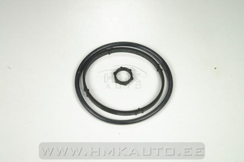 Õlifiltri korpuse tihendikomplekt OEM Citroen/Peugeot 1,4-1,6