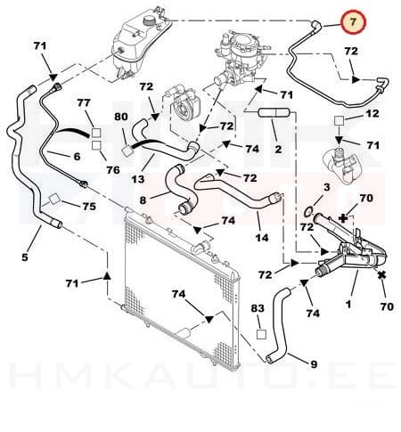 Paisupaagi ülevoolu toru OEM Citroen Berlingo/Peugeot Partner 02-08