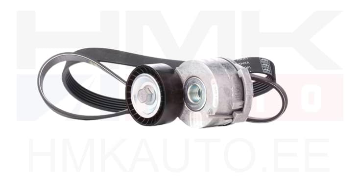 Mitmikkiilrihma komplekt OEM Citroen/Peugeot 2,0HDi