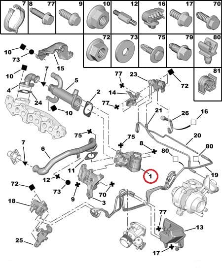 EGR klapp OEM Citroen/Peugeot/Fiat/Ford/Volvo 2,0HDI