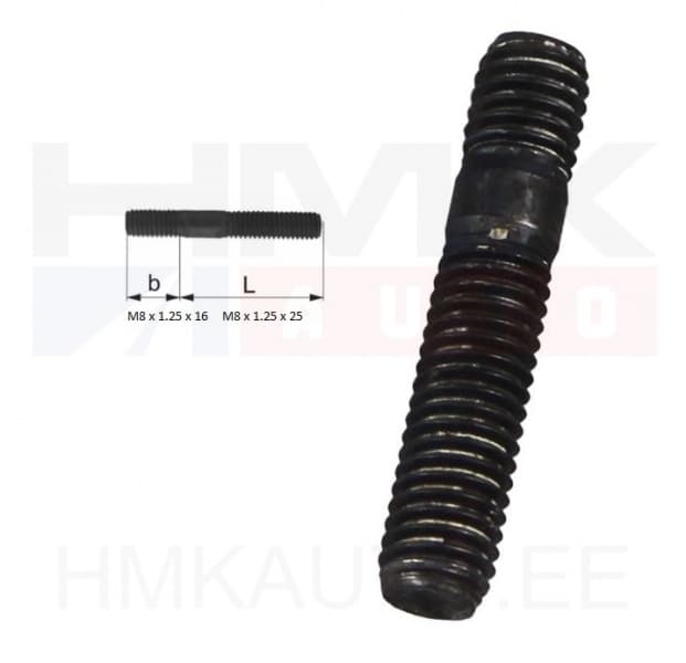 Tikkpolt Renault / PSA / Fiat / Iveco M8x1,25-16/25