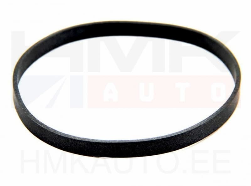 Tagumise vedrusilindri tihend OEM Citroen