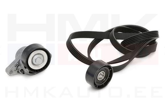 Mitmikkiilrihma komplekt Renault