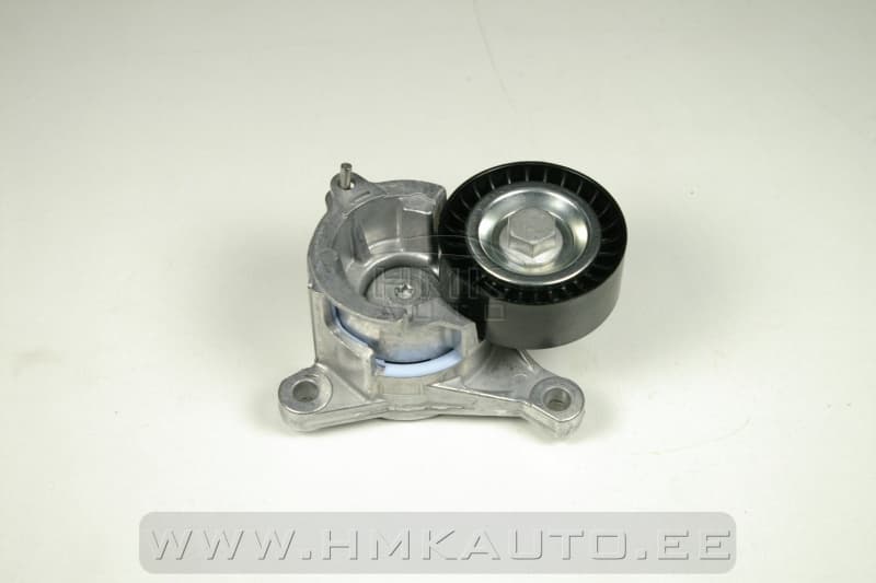 Mitmikkiilrihma pinguti Peugeot/Citroen 1.8/2.0/2.2  00-