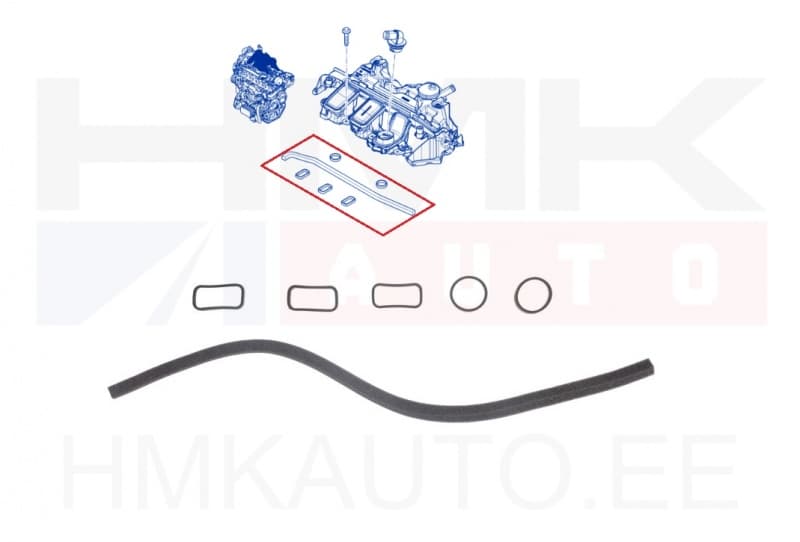 Karterituulutuse/õliseparaatori tihendite komplekt Renault 1,6dCi