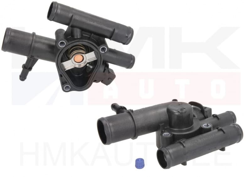 Termostaat korpusega Renault 1,9 dCi