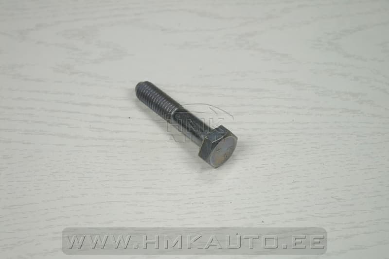 Sarniiri kinnituspolt M10x1,50-L50 OEM Citroen/Peugeot