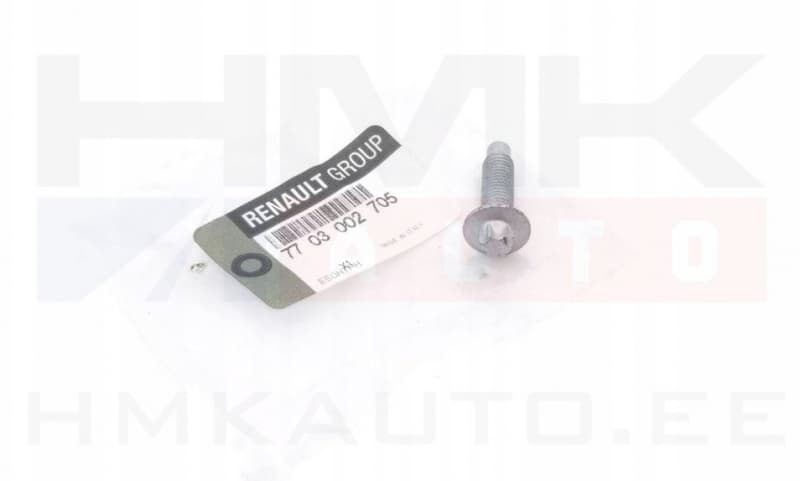 Õlivanni polt OEM Renault