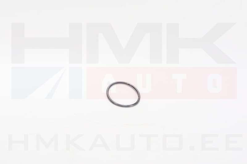 Kütusepumba tihend OEM Opel 1,3