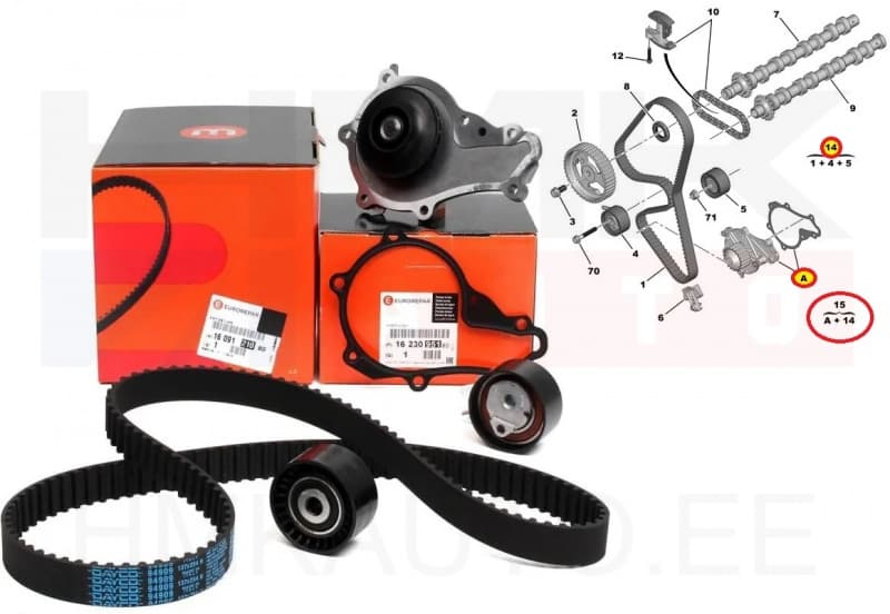 Hammasrihma komplekt + veepump Citroen/Peugeot 1,6HDI DV6TED4