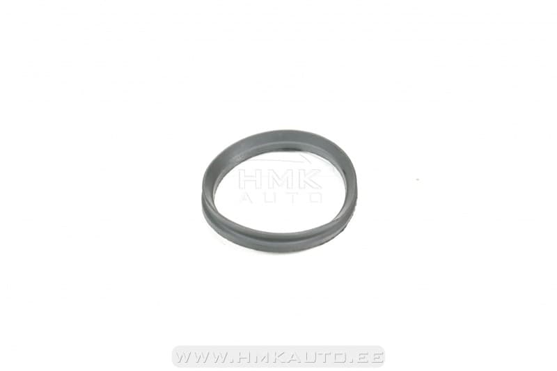 Amortisaatori tugilaagri tihend Jumper/Boxer/Ducato 94-