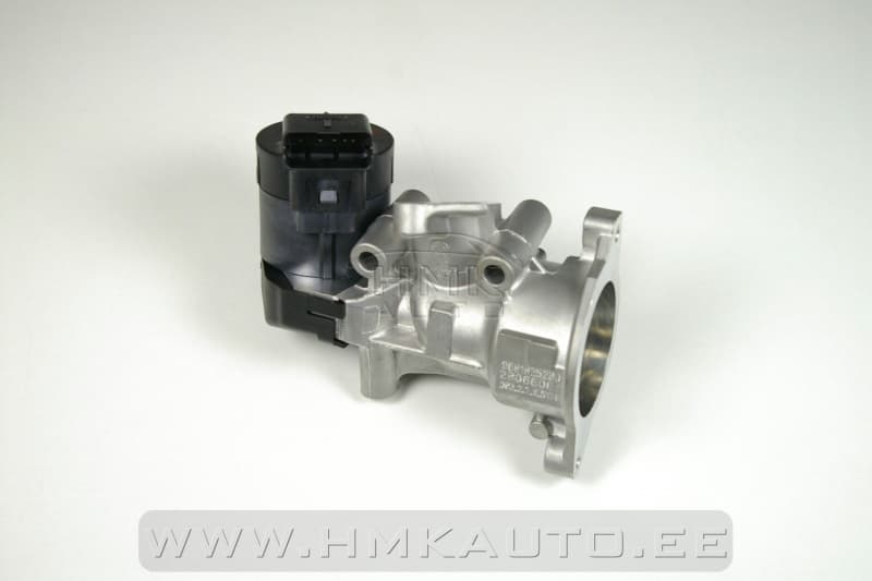 EGR klapp OEM Citroen/Peugeot/Fiat/Ford/Volvo 2,0HDI