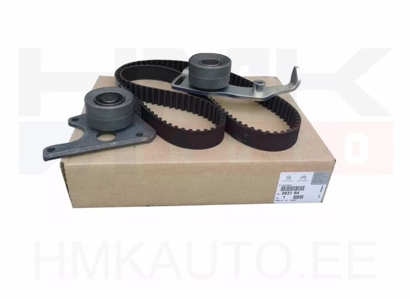 Hammasrihma komplekt OEM Citroen/Peugeot/Fiat 1,9D XUD9