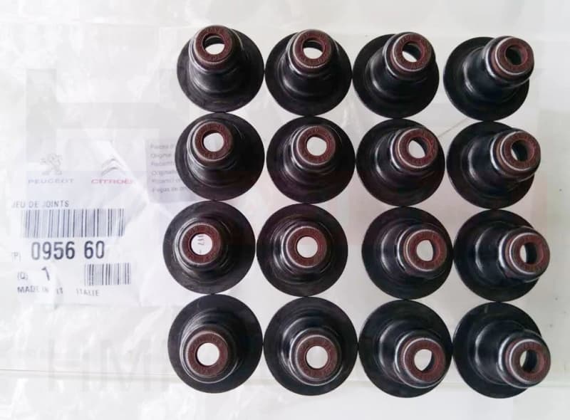 Klapisääretihendite komplekt OEM Citroen/Peugeot 1,6 EP6