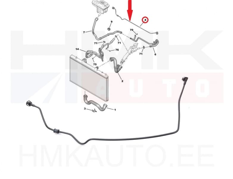 Paisupaagi ülevoolu toru OEM Citroen/Peugeot