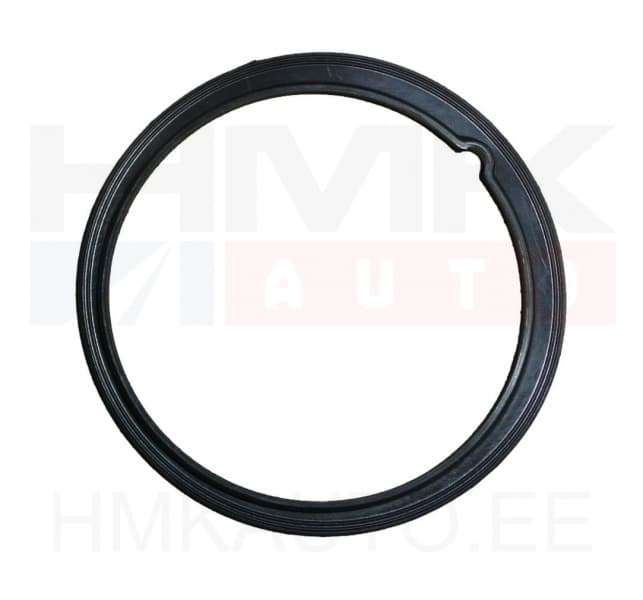 Kütusepumba kinnitusvõru tihend OEM Nemo/Bipper/Fiorino