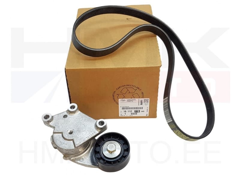 Mitmikkiilrihma komplekt OEM Citroen/Peugeot DV6DTED