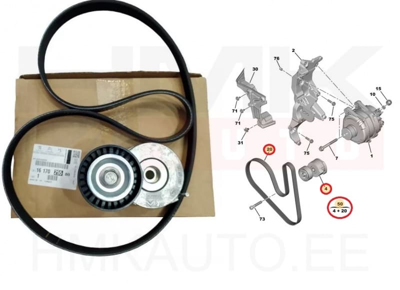 Mitmikkiilrihma komplekt OEM Citroen / Peugeot 2,0BlueHDI