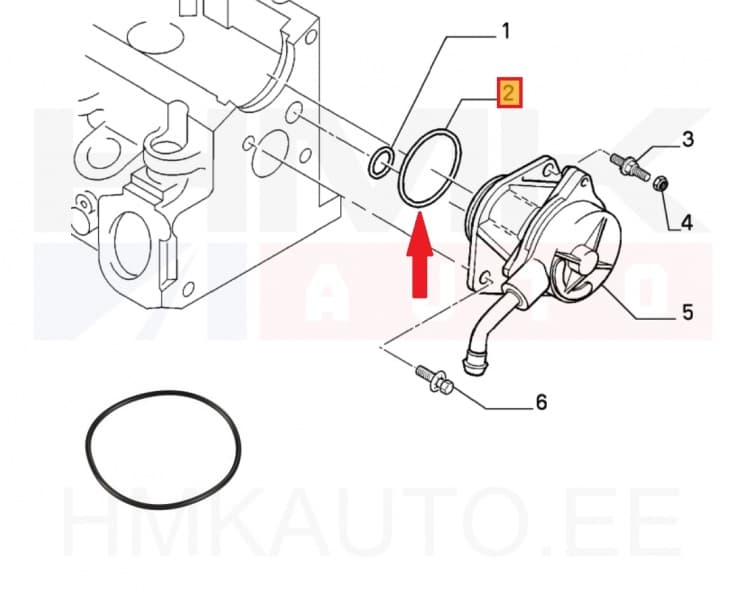 Vaakumpumba tihendusrõngas OEM Citroen/Peugeot/Fiat 1,9D