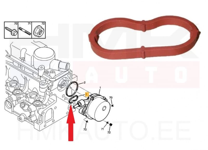 Vaakumpumba tihend OEM Citroen/Peugeot/Fiat 2,0HDi