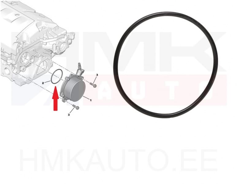 Vaakumpumba tihendusrõngas OEM Citroen/Peugeot 1,6VTI/THP EP6  56x2,75