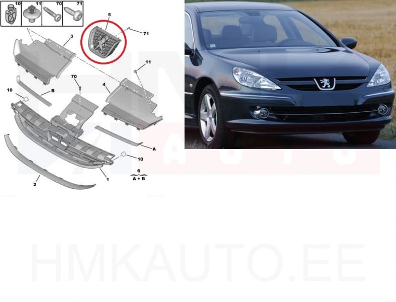 Embleem iluvõrele OEM Peugeot 607
