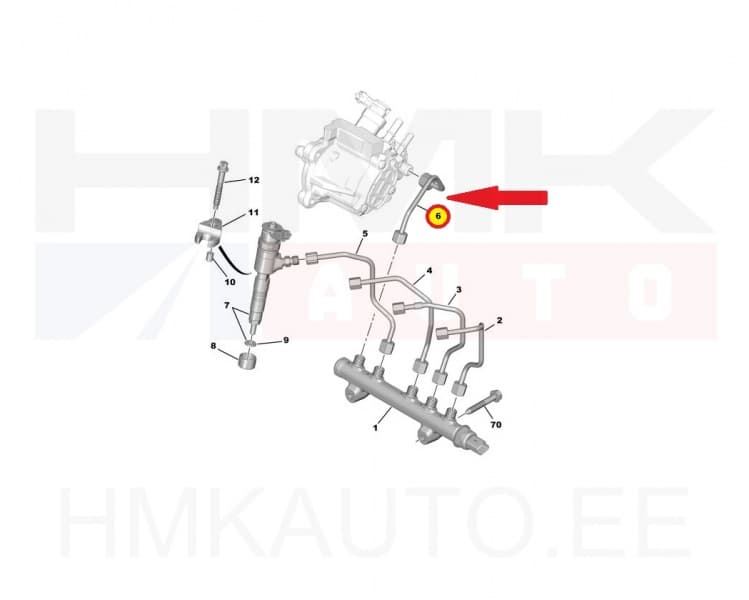 Kütusepumba kõrgsurvetoru OEM Citroen/Peugeot/Fiat