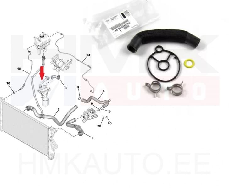 Jahutusvedeliku lõdvik ja tihend õlifiltri korpusele OEM PSA 2,0BlueHDi 2016-