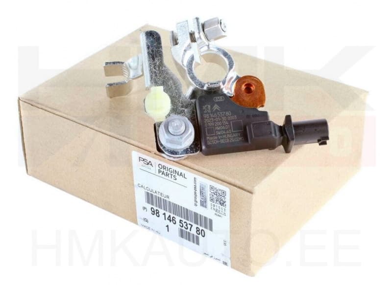 Akuklemm (-), IBS andur OEM Citroen/Peugeot