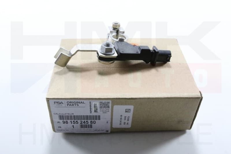 Akuklemm (-), IBS andur OEM Citroen/Peugeot