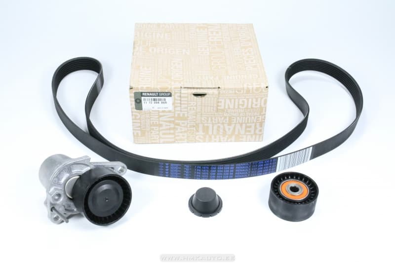 Mitmikkiilrihma komplekt OEM Renault Talisman/Trafic 1,6DCI