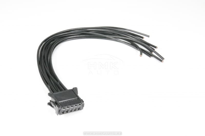 Ahjureostaadi pistik Renault Megane II/ Scenic II  10-klemmi