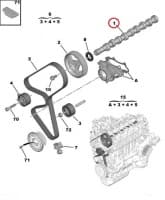 Nukkvõll OEM Citroen/Peugeot 1,6HDI Euro5