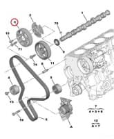 Nukkvõlli rihmaratas OEM Citroen/Peugeot