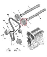 Nukkvõlli rihmaratas OEM Citroen/Peugeot TU5JP4