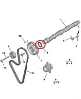 Nukkvõlli tihend OEM Peugeot/Citroen 36x50x8