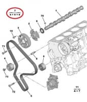 Hammasrihma komplekt OEM Jumper/Boxer 2.2HDI 2002-06  DW12