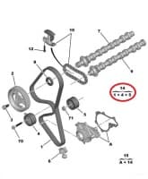 Hammasrihma komplekt OEM Citroen/Peugeot 1,6HDI DV6TED4