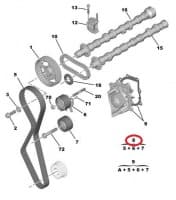 Hammasrihma komplekt OEM Citroen/Peugeot 2,2HDI