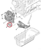 Õlivõtturi tihend OEM PSA 1,4-1,6HDI
