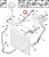 Jahutusvedeliku lõdvik OEM PSA