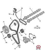 'Hammasrihma komplekt + veepump OEM Peugeot/Citroen 1,6HDI DV6TED4