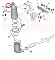 Väljalaskegaaside rõhuanduri toru OEM Citroen/Peugeot