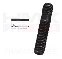 Tikkpolt Renault / PSA / Fiat / Iveco M8x1,25-16/25