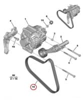 Mitmikkiilrihm 6PK905 OEM Citroen/Peugeot