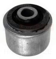 Esisilla õõtshoova puks, alumine Kangoo 4x4