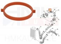 Turbo õhutoru tihend Citroen/Peugeot 1,5BlueHDi  DV5R