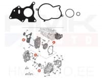Kõrgsurvepumba tihendikomplekt Citroen/Peugeot 2,0BlueHDi Euro6 -06/2021 (kuni RPO nr. 16276)