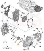 Kõrgsurvepumba korpuse tihend OEM Citroen/Peugeot 2,0BlueHDi DW10FD